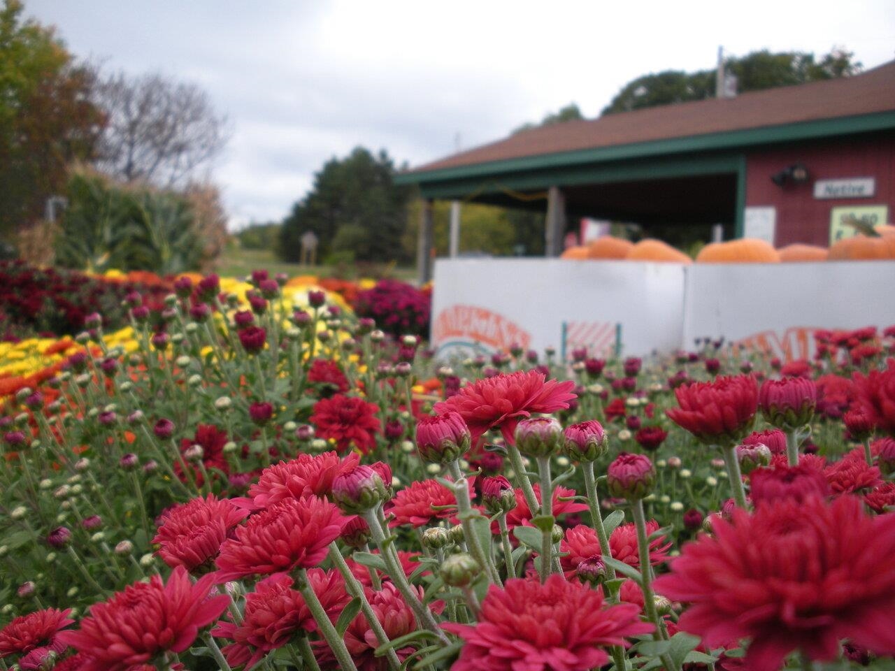 Farmers markets nearby