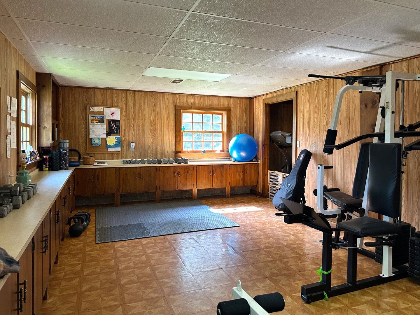 Basement gym room/office