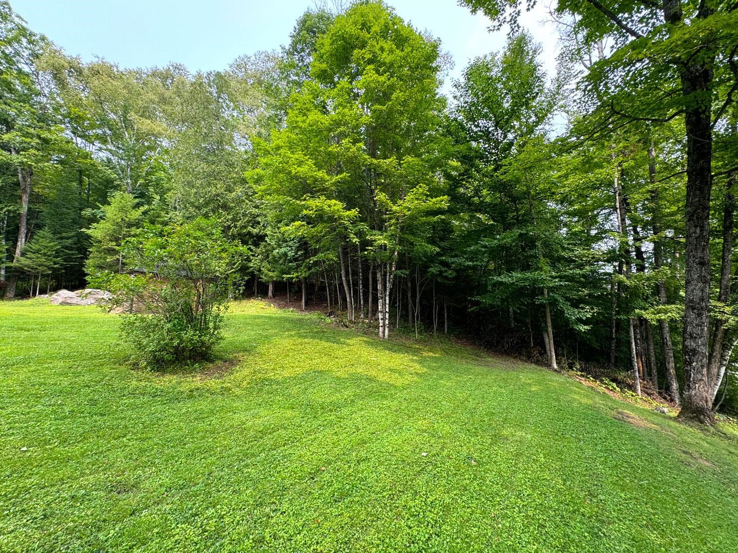 Large backyard on 1.2 acres of land