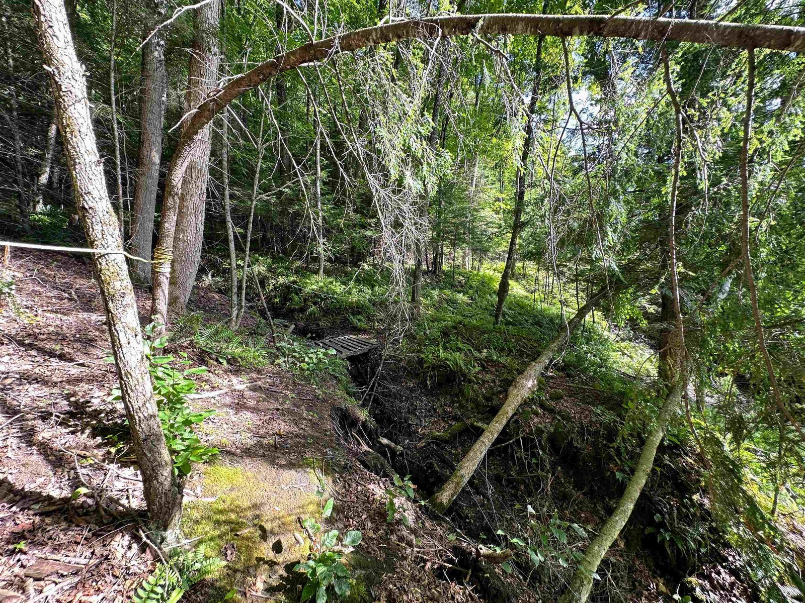 Trail from campsite to new build site