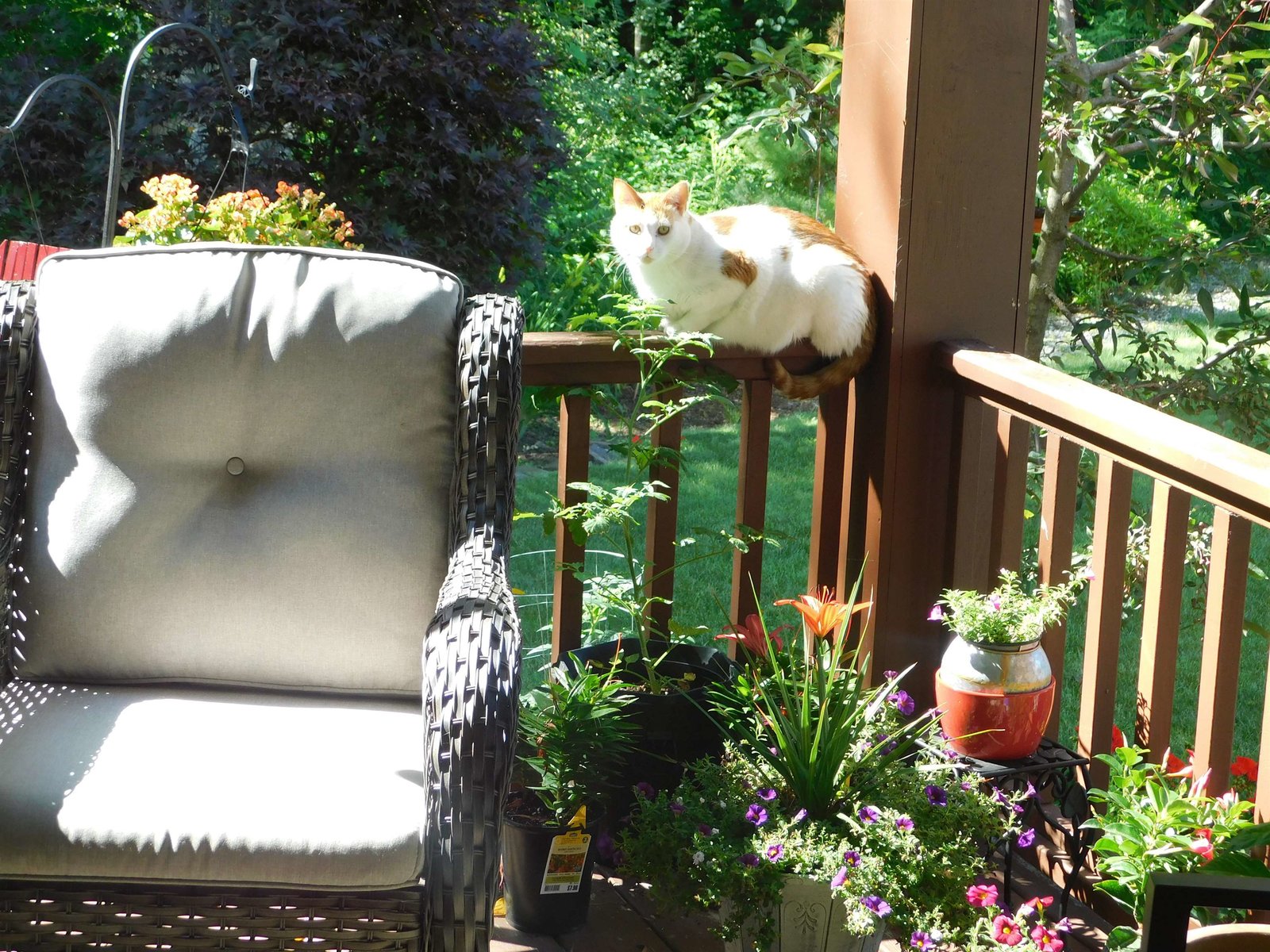 Porch on a sunny day