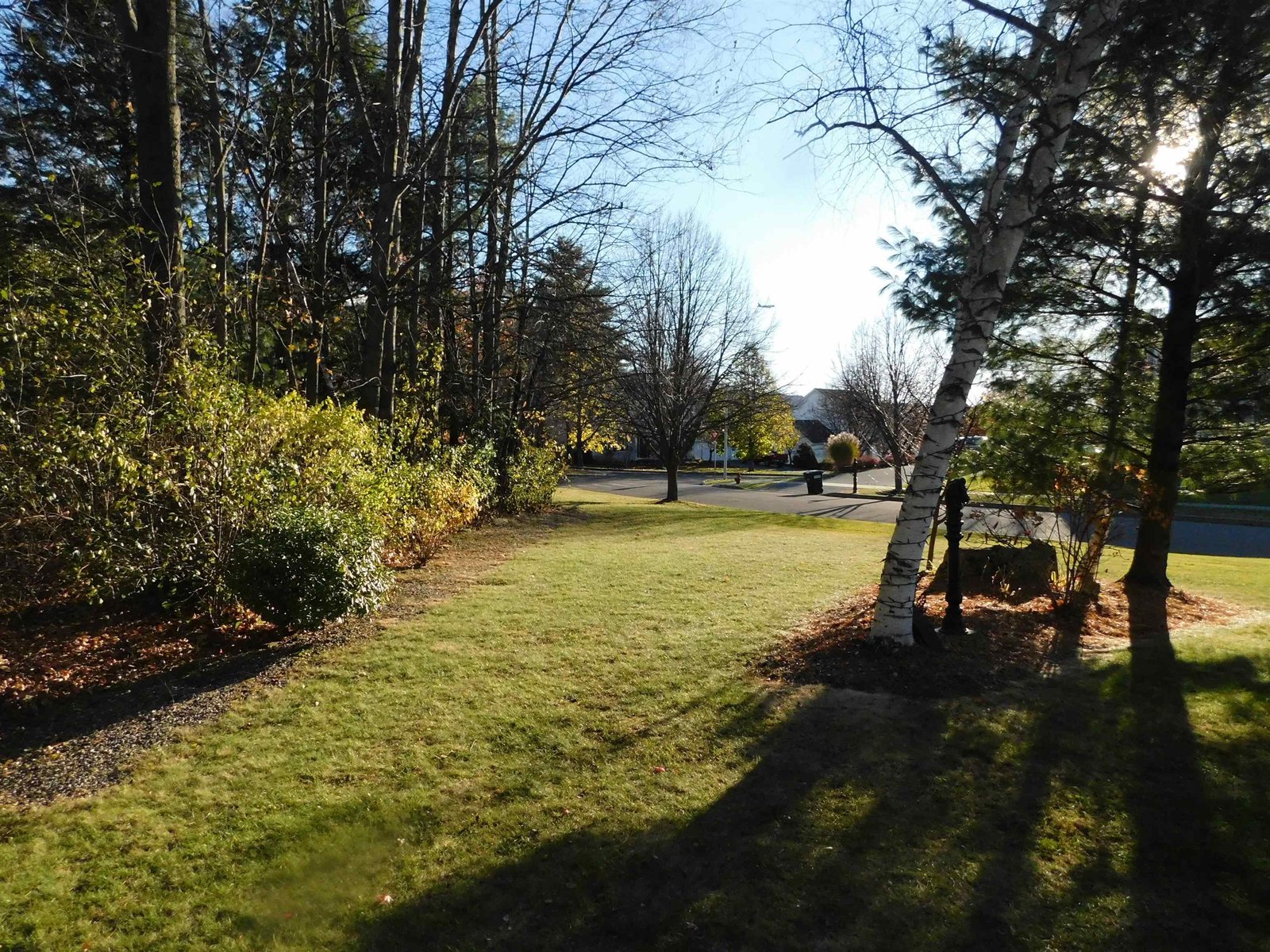 Common land maintained by the owner and over the hill to the pool.