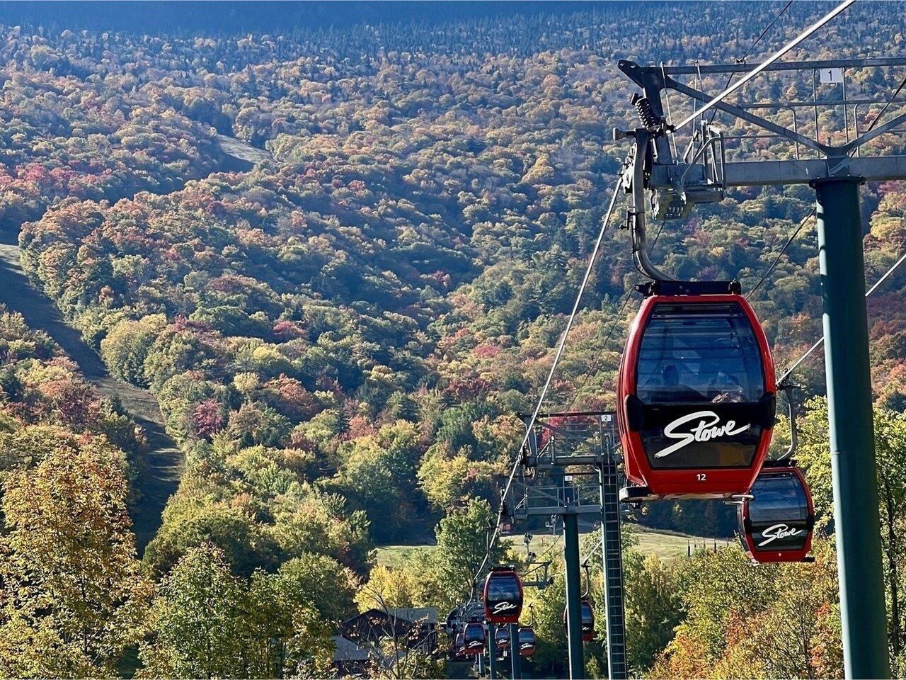 Year-Round Gondola