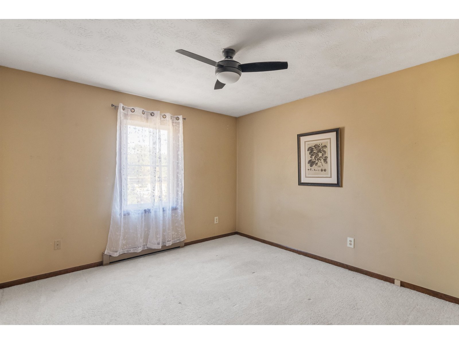 larger front bedroom with ceiling fan and egress window