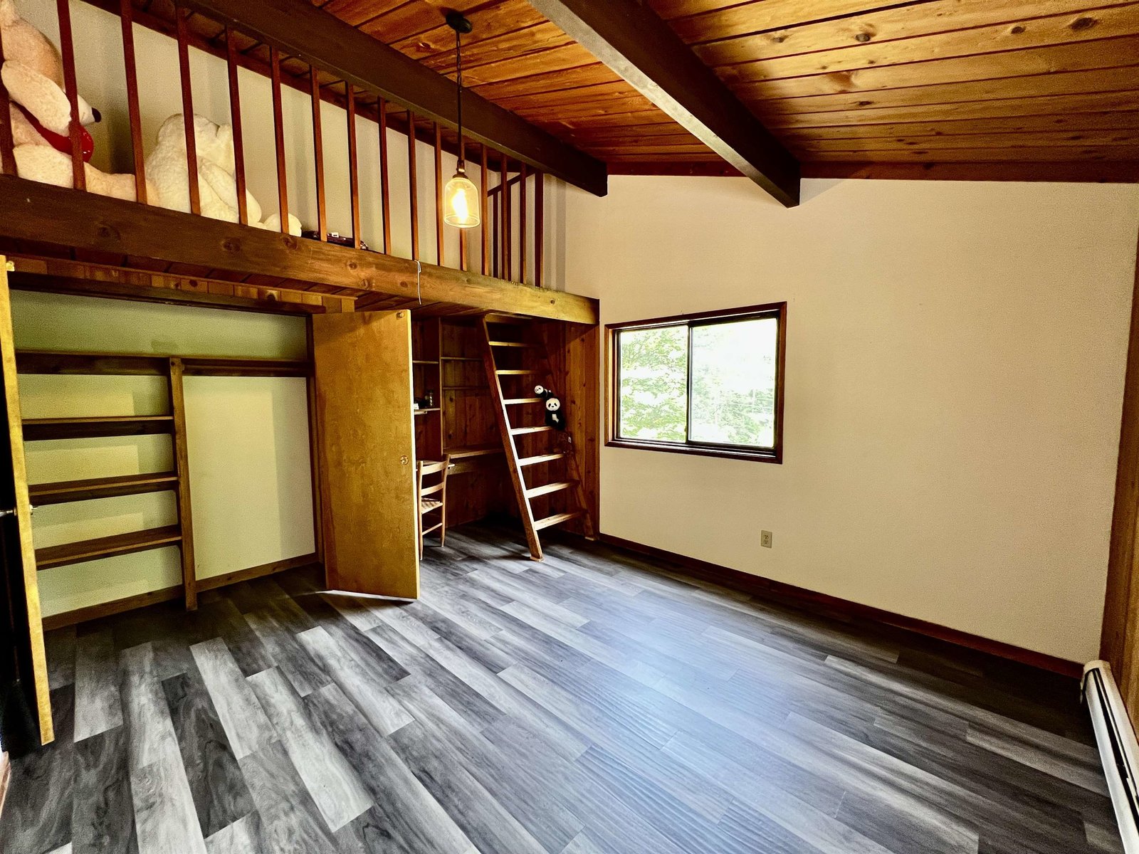 Living room - Basement Level