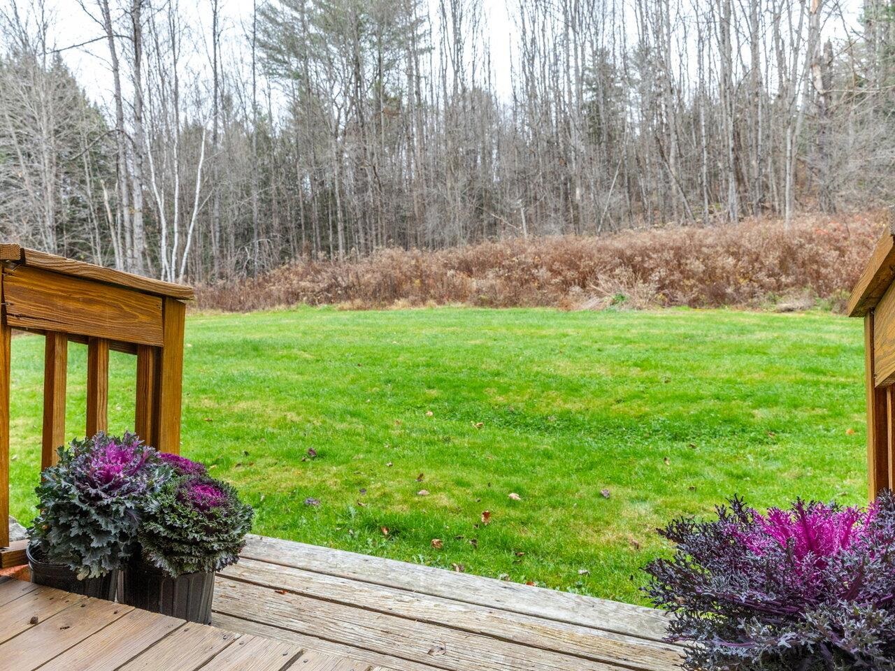 Deck Overlooking Woods