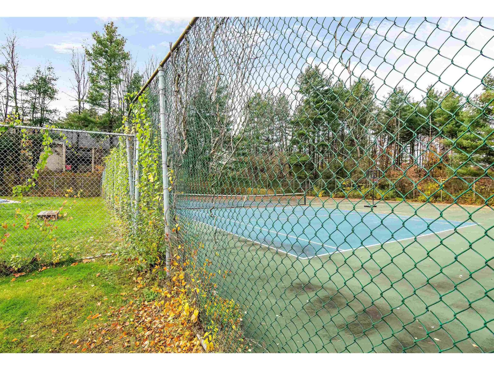 Tennis/Pickleball Courts