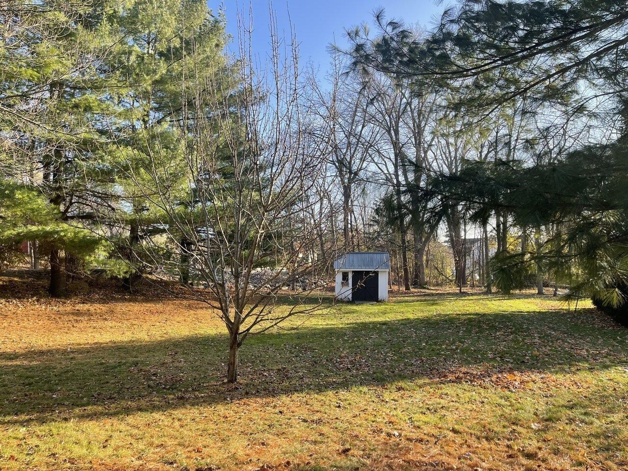 Backyard with Shed