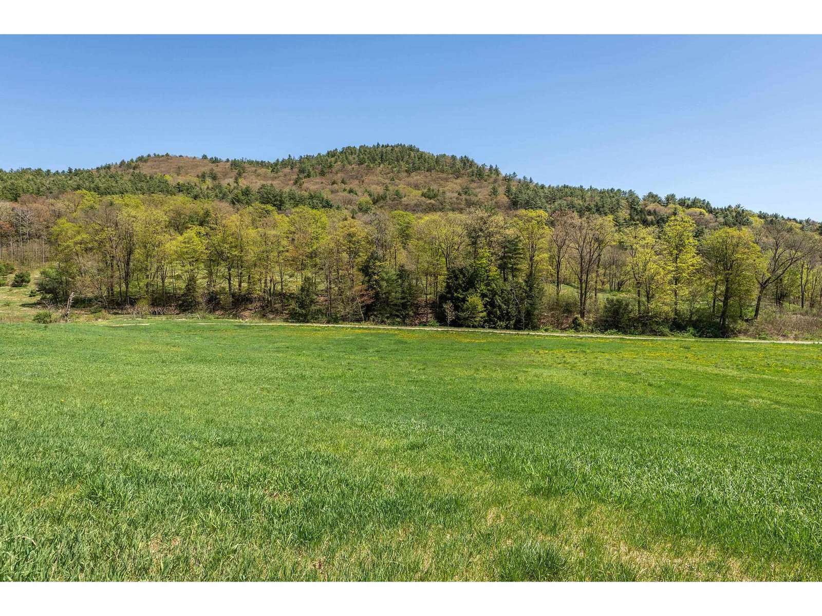 Sold property in Williston Sold property in Williston