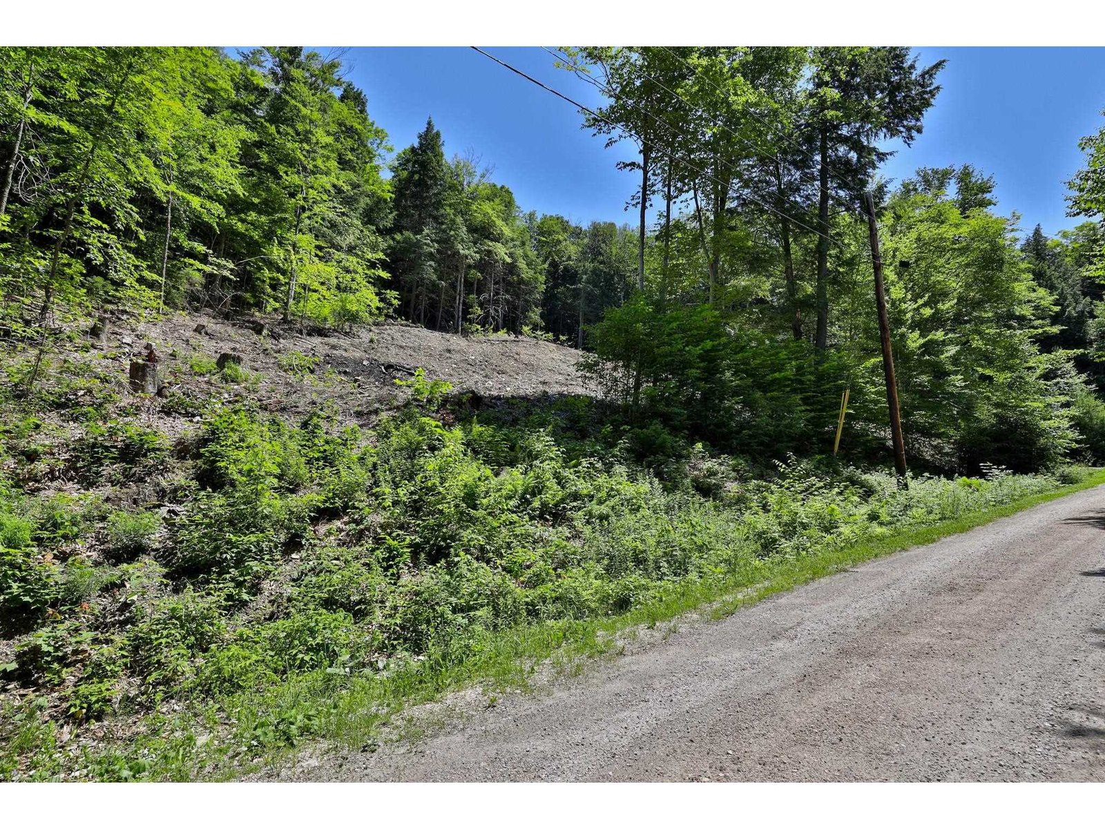 Land on Left Above Madison Brook Lane