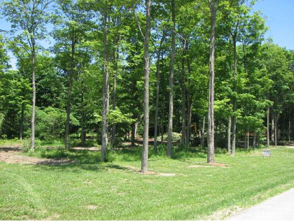 Lot #1 Maple Grove Estates