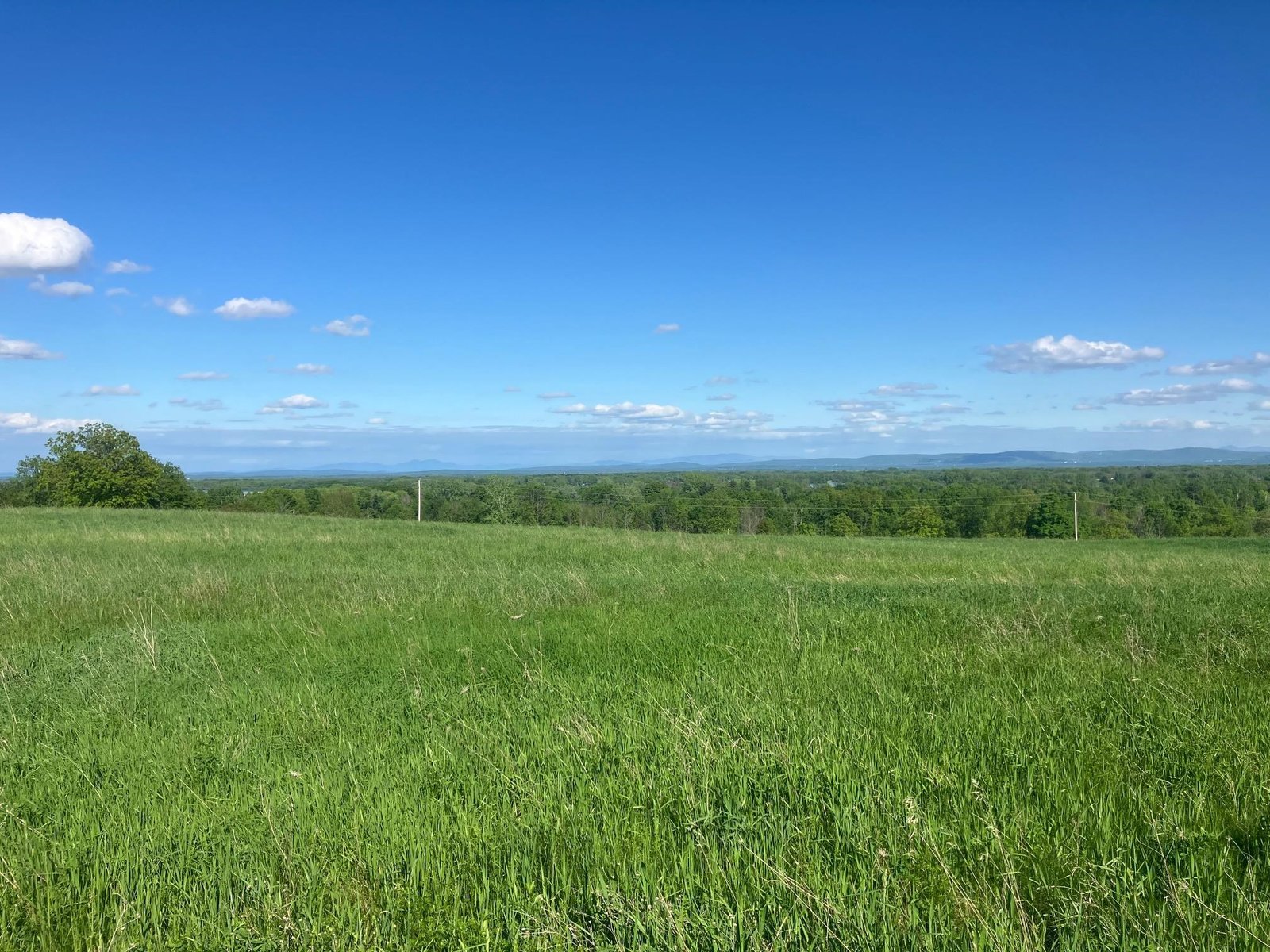 Lot 1 Summit Road, Alburgh