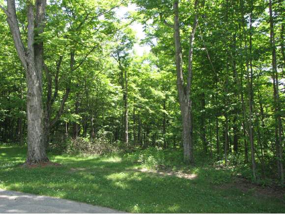 Lot #2 Maple Grove Estates