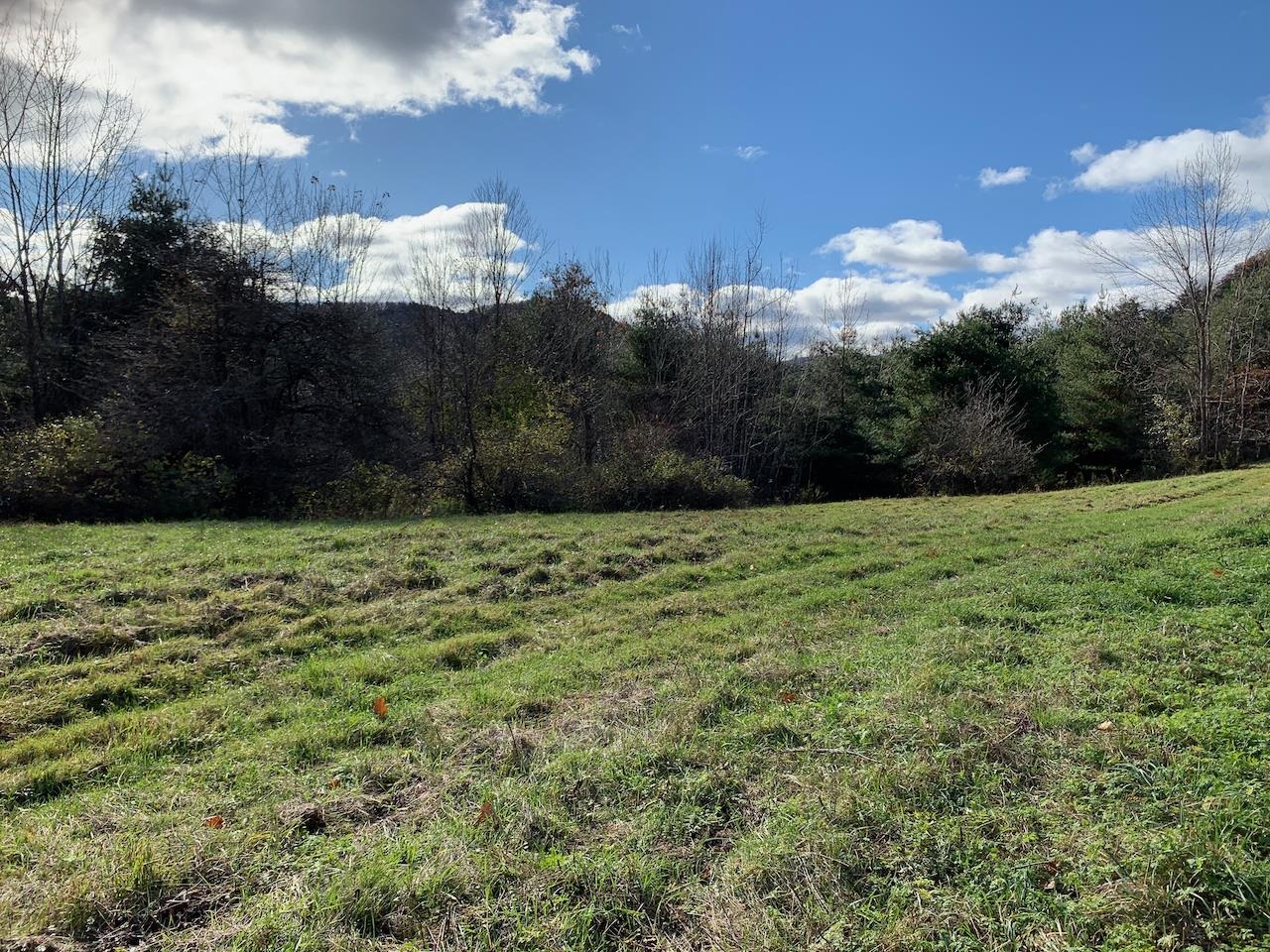 Lot 2 Peavine Boulevard