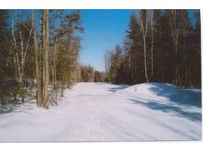 LOT 21 Campbell Rd., Broadvista