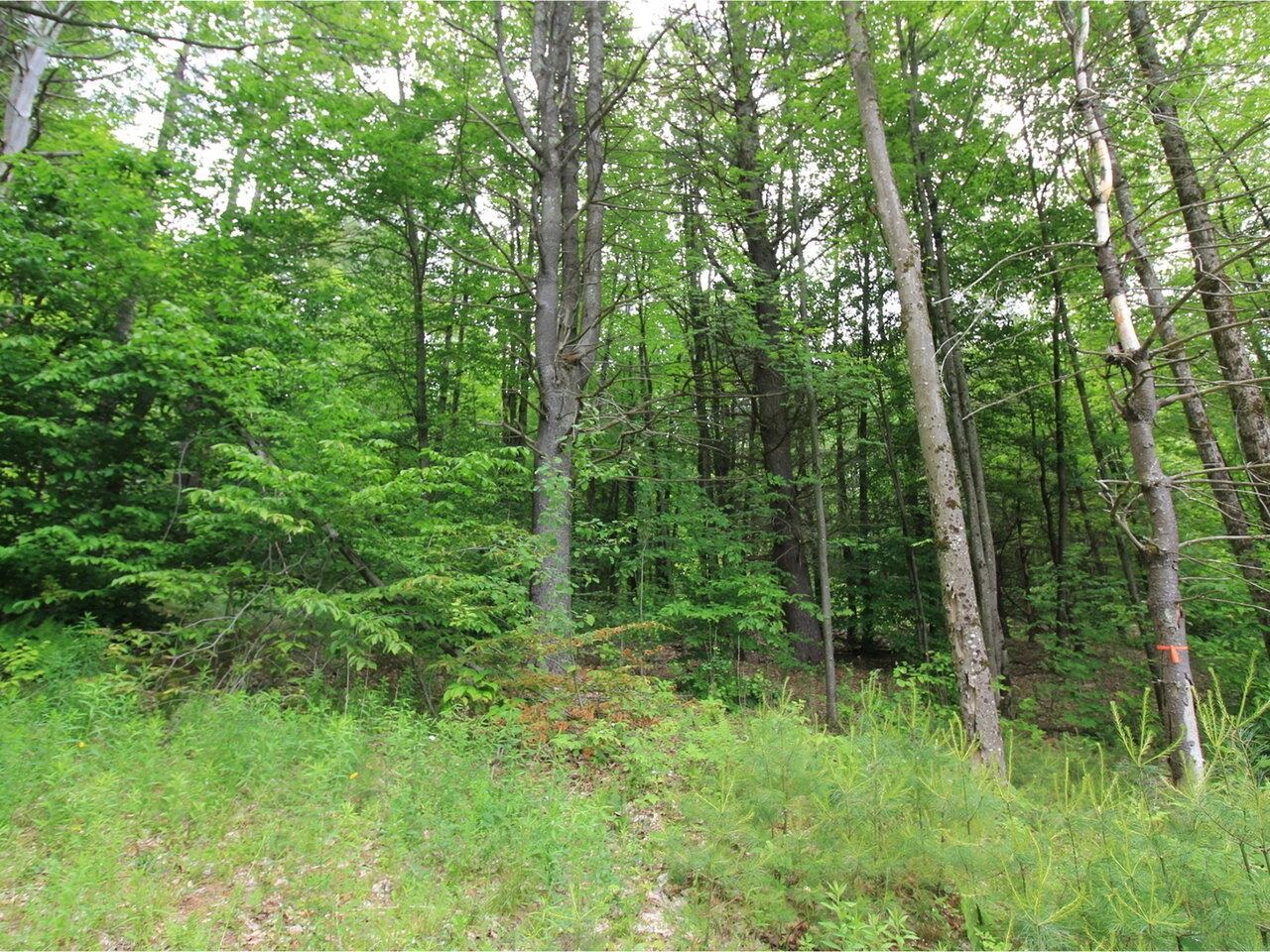 Lot 4 Piney Grove Lane