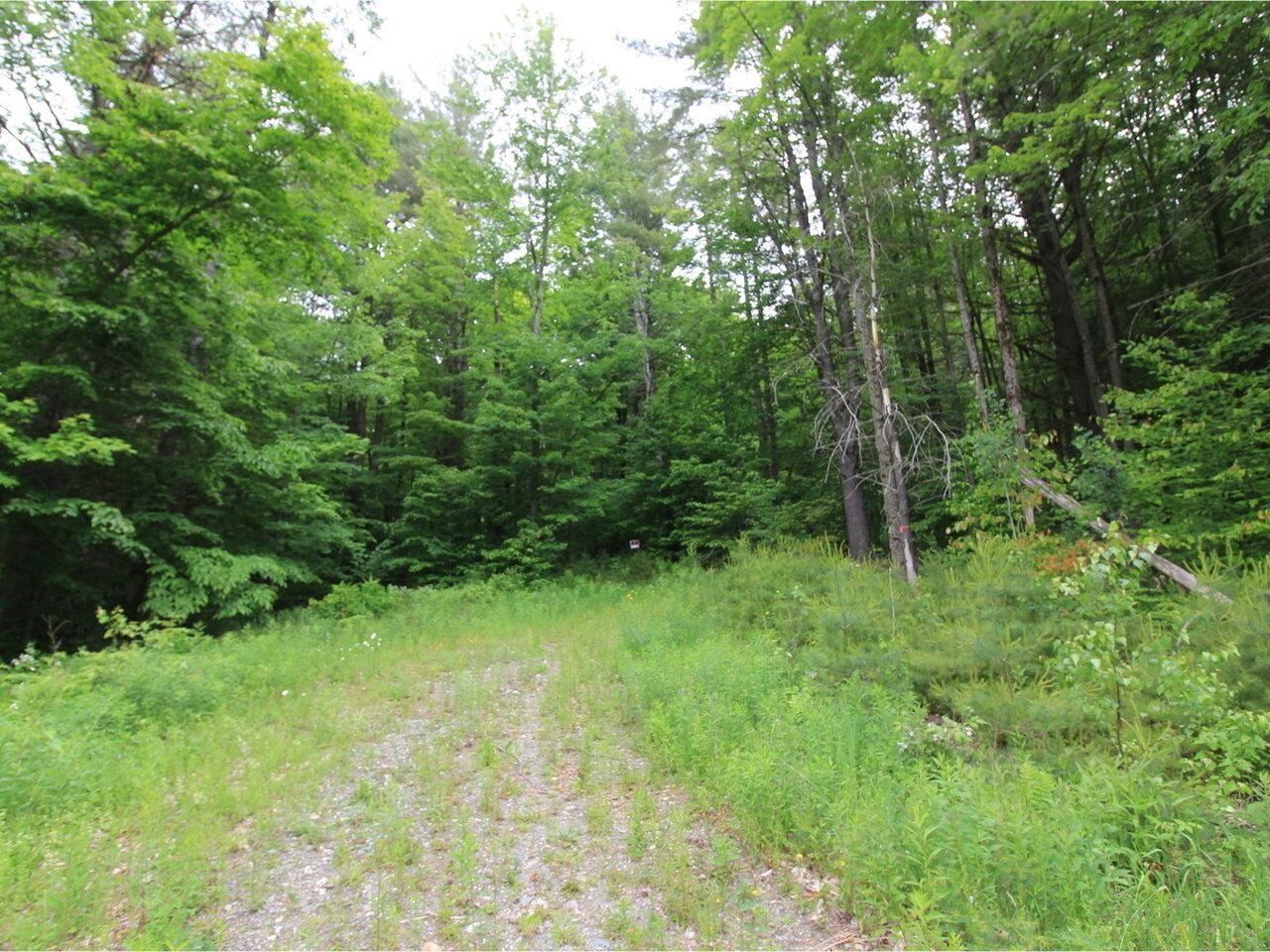 Lot 4 Piney Grove Lane