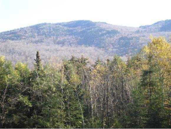 Lot 5 Evergreen Woods Rd