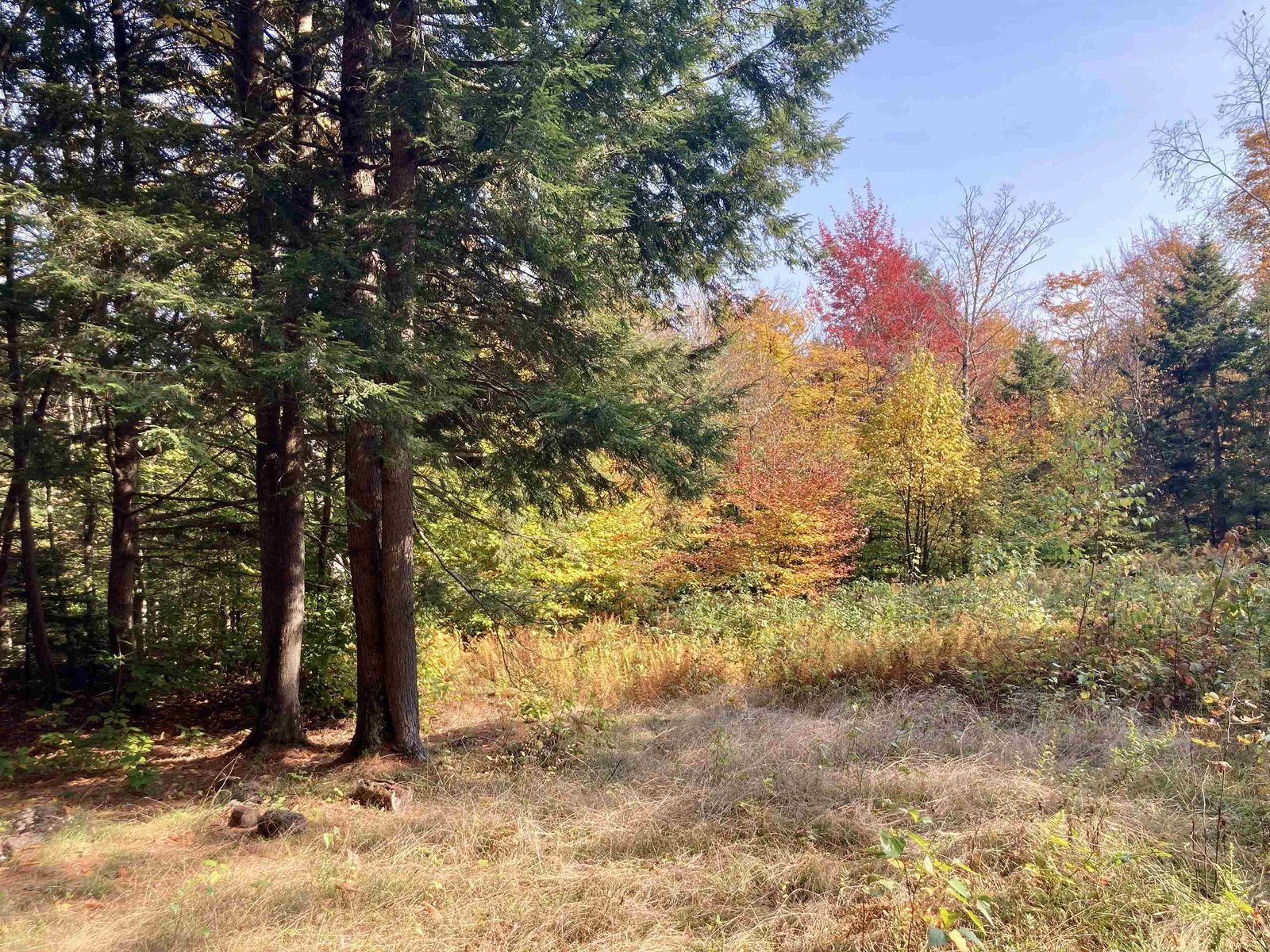 Lot 5 Taylor Road, Duxbury