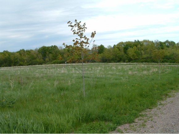 Lot 8 15 Haycorn Hollow