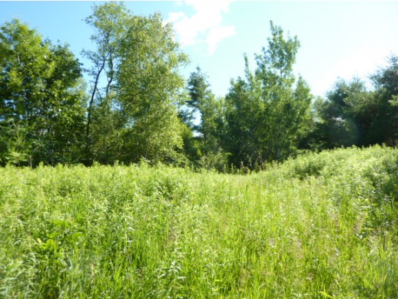 lot 8 Bear Pond