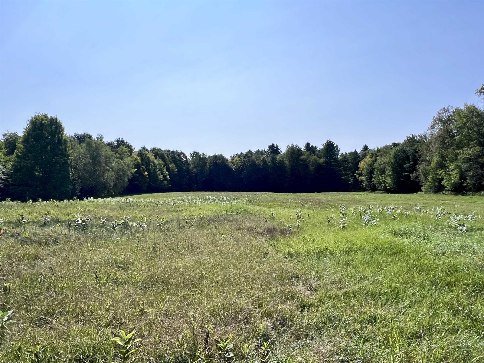 Nice wooded area in back of property