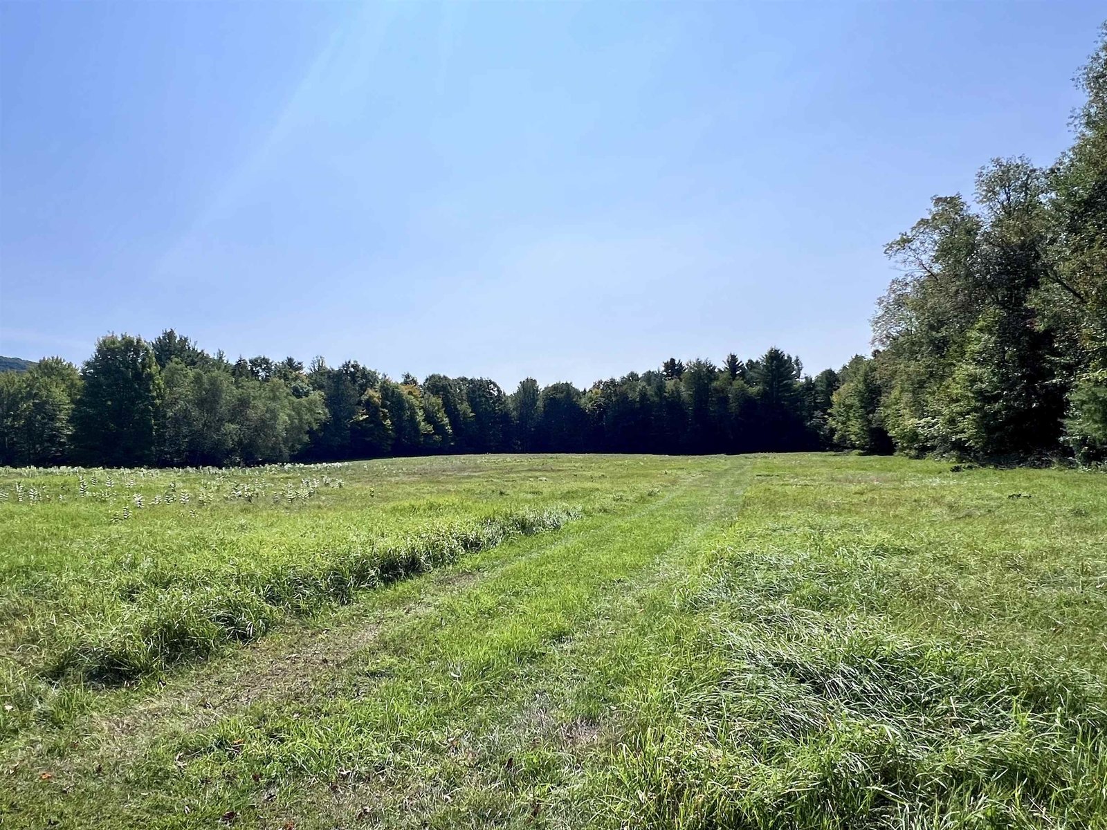 Open, unobstructed lots are ideal for solar panels