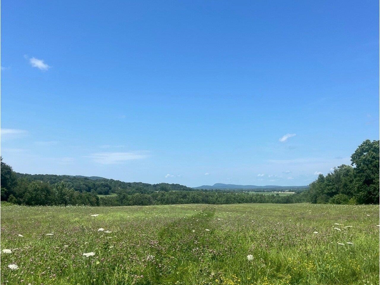 Large open meadow