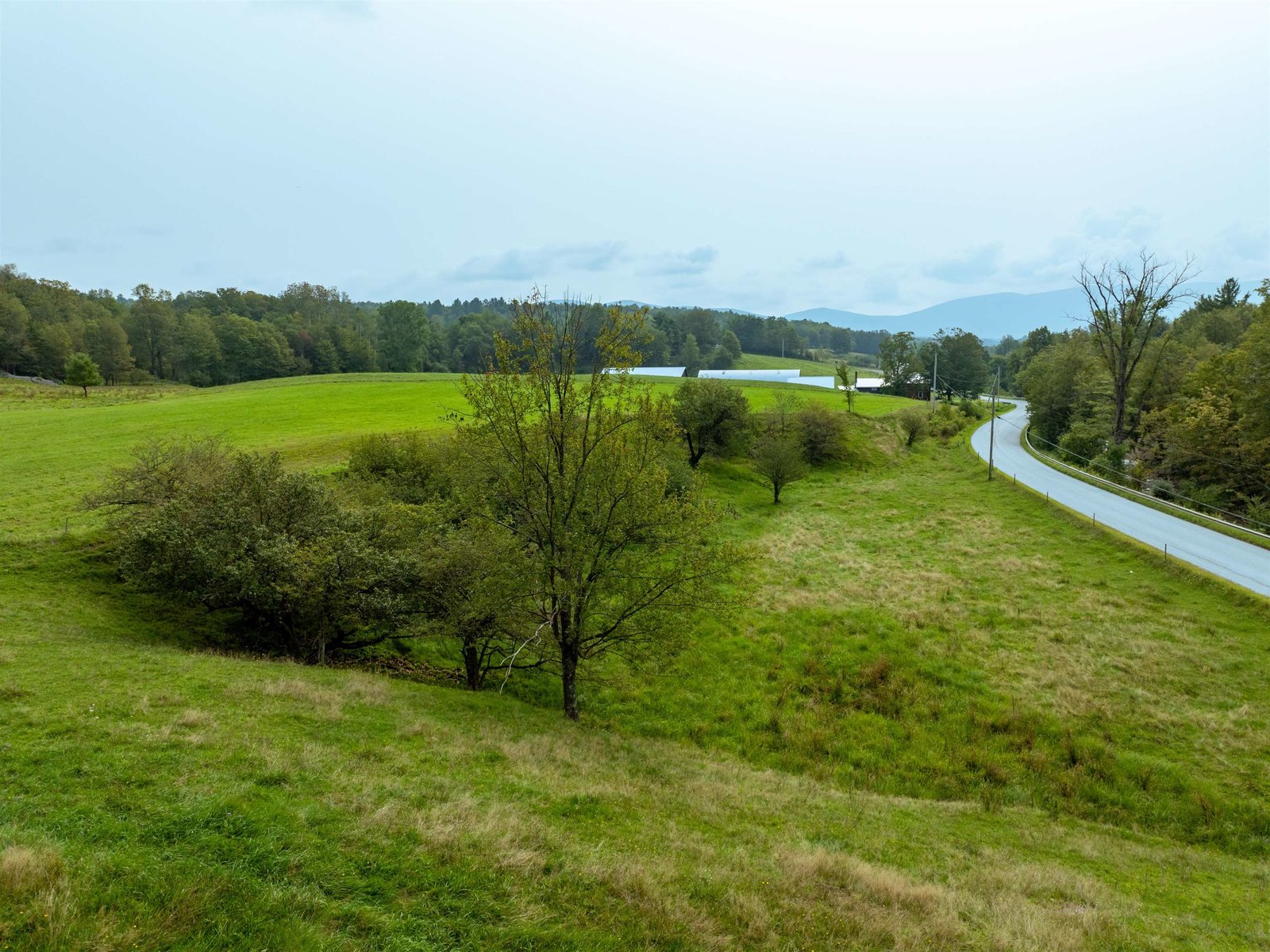 Tyler Branch Road