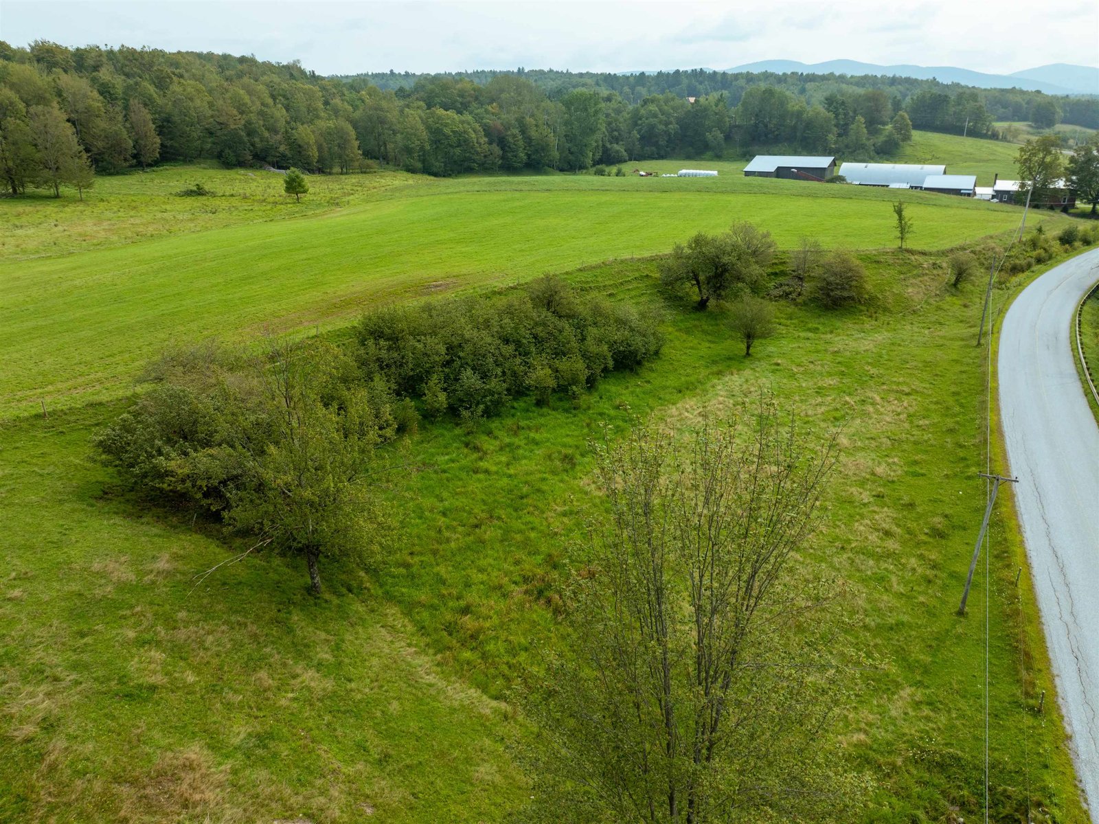 Tyler Branch Road